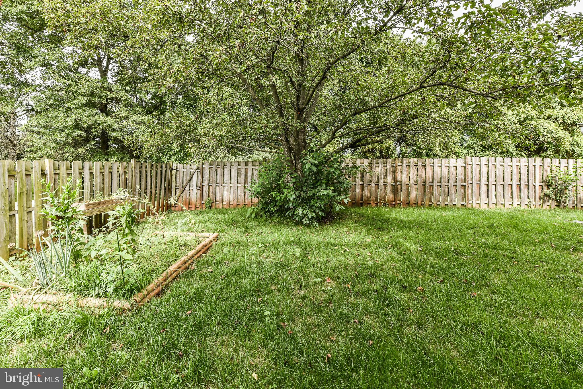 MIRROR RIDGE - Residential Lease