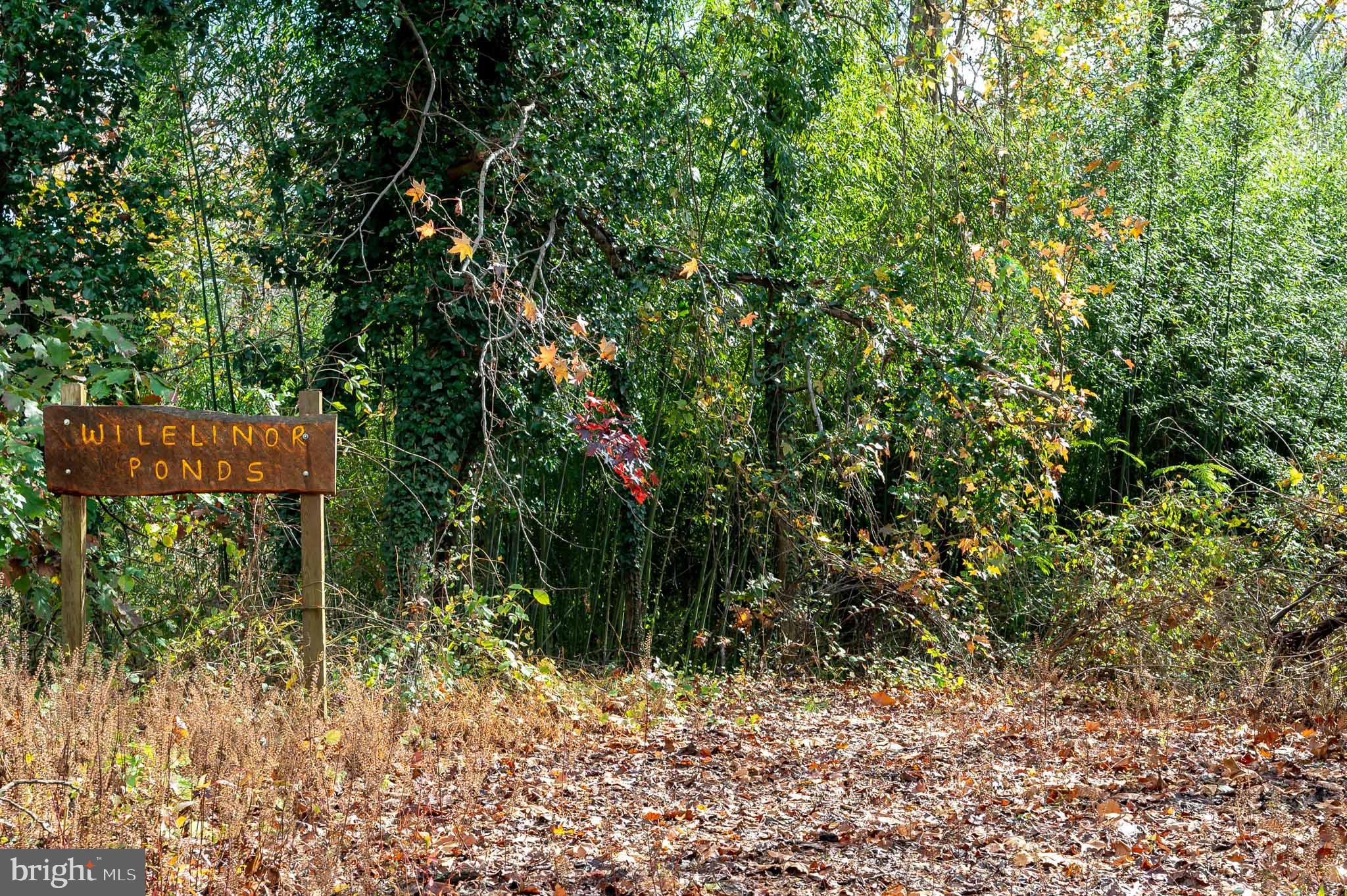 WILELINOR ESTATES - Residential