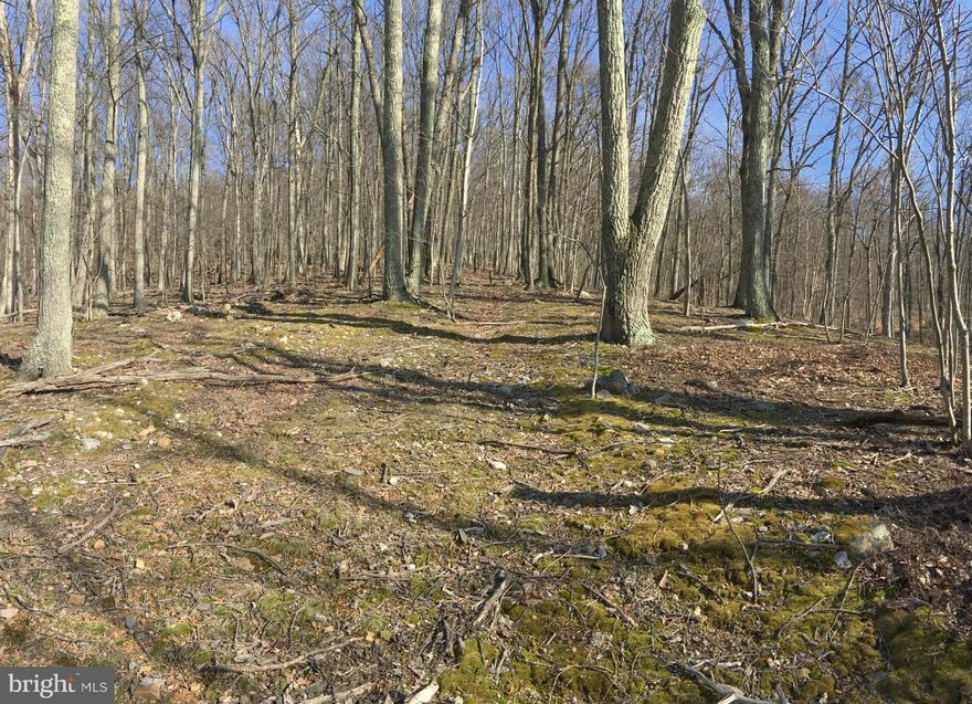 11 wooded acres to build your getaway on. Private location in a quiet subdivision. Seasonal views that could be year round. Land has been perced and has an old logging road that could be finished into a driveway. 15 minutes from I-81 and Inwood.