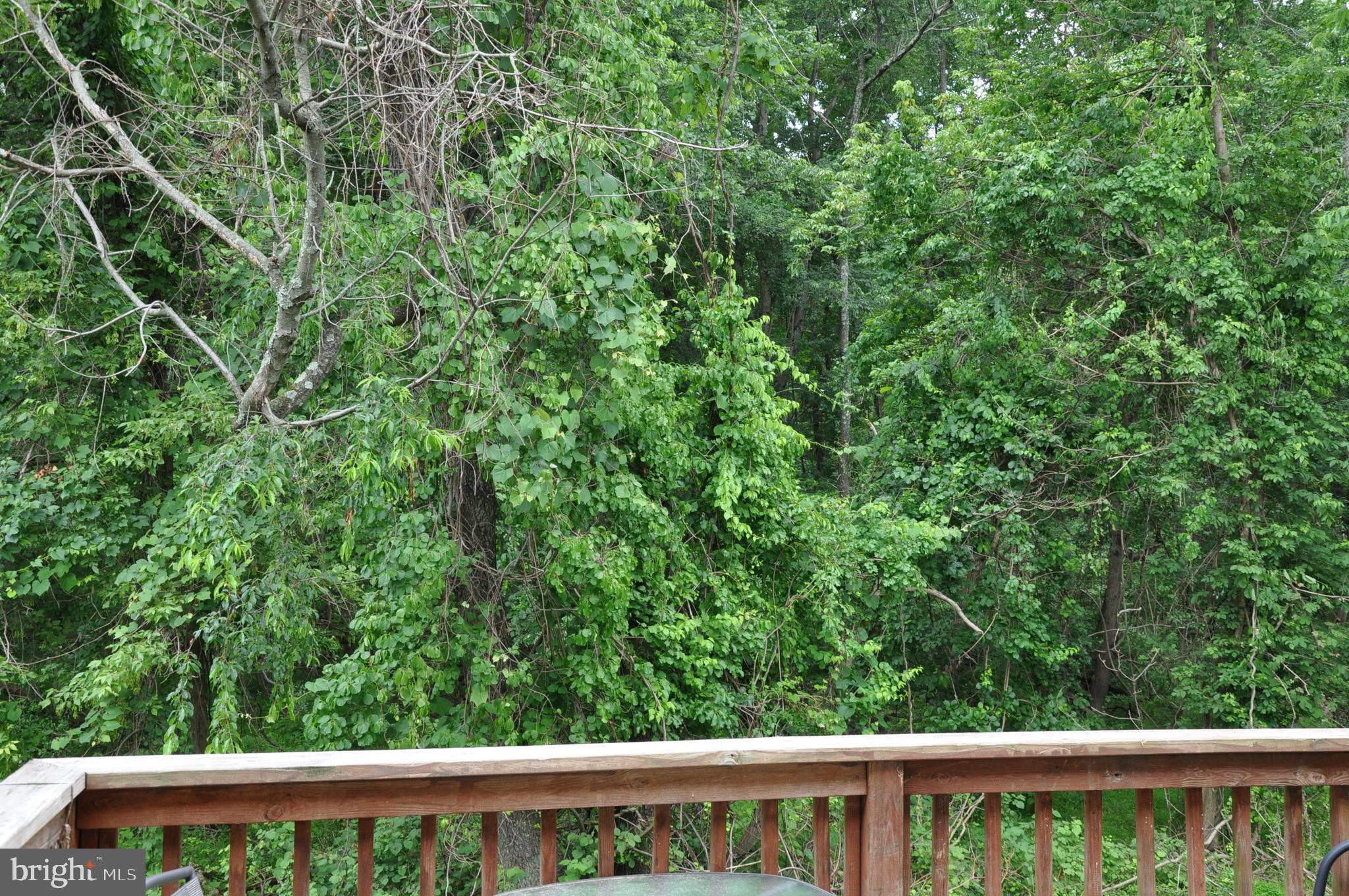 OWINGS MILLS - Residential Lease