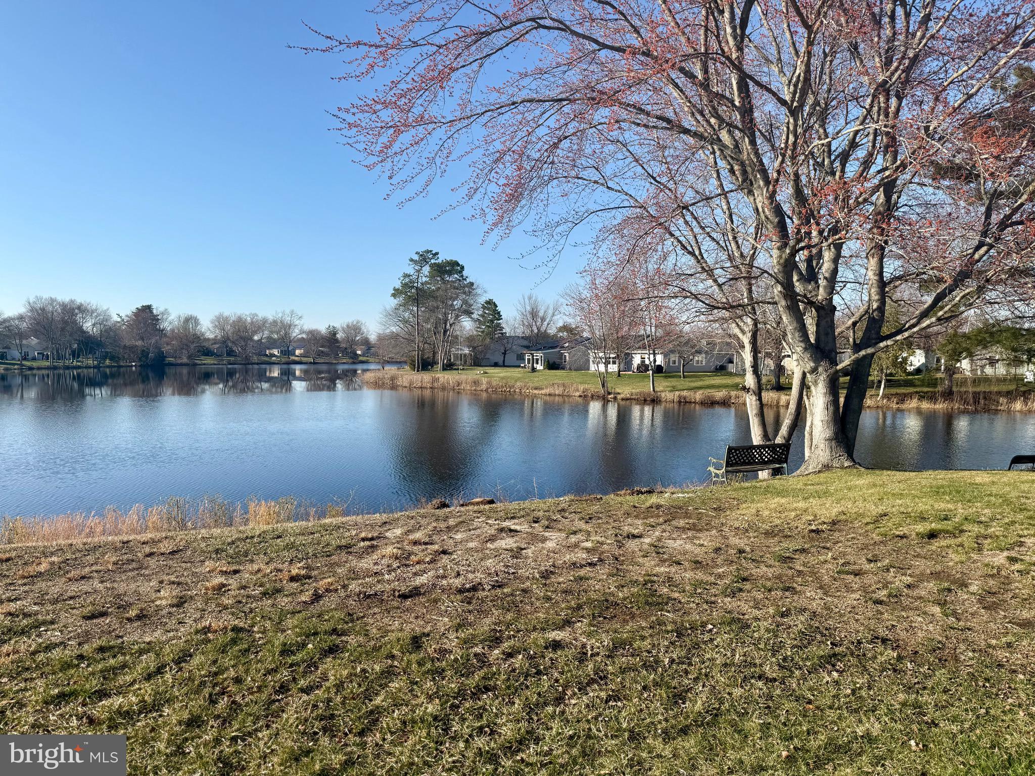 29 MARLBOROUGH DRIVE