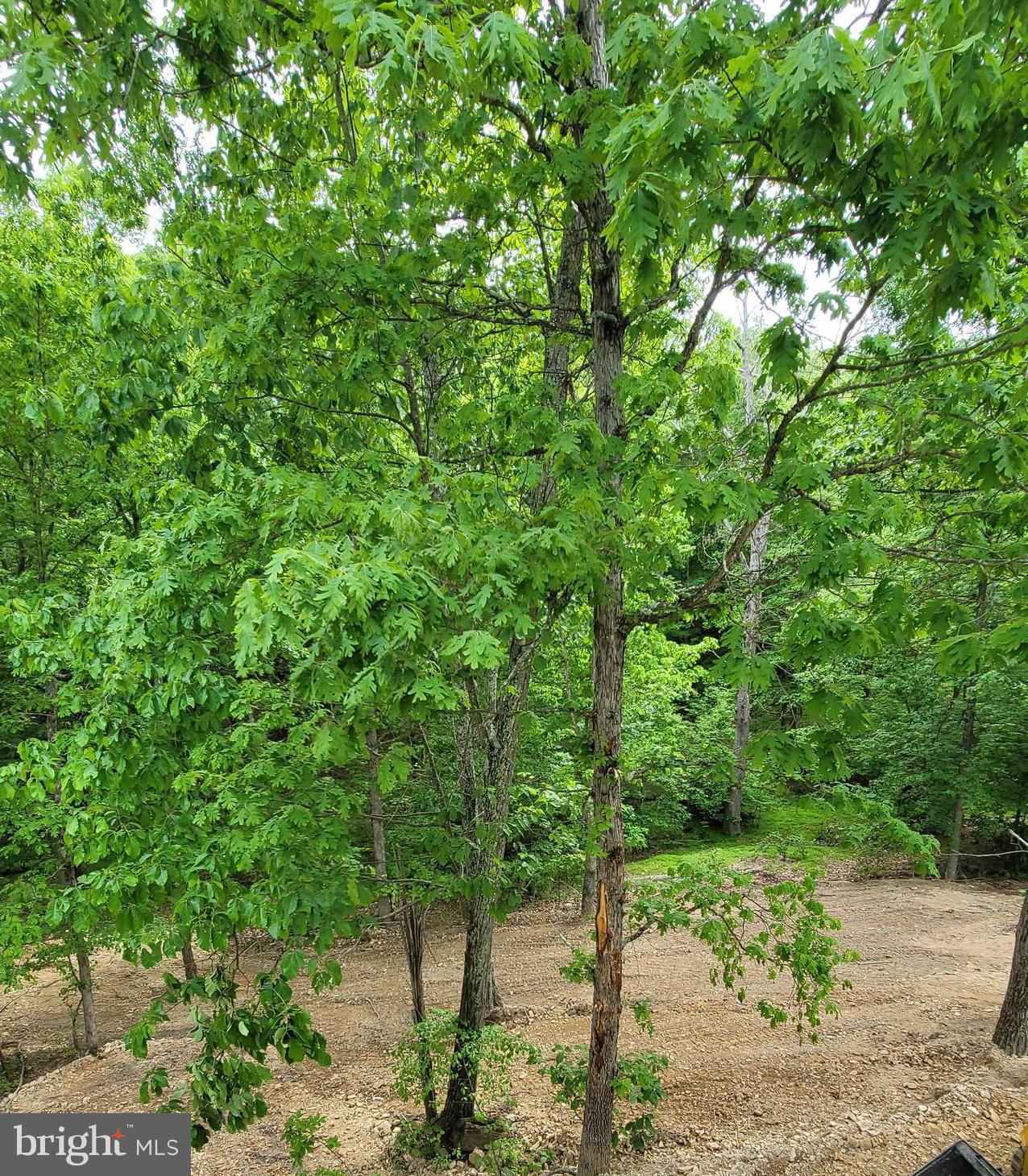 FAIRVIEW OAKS - Residential