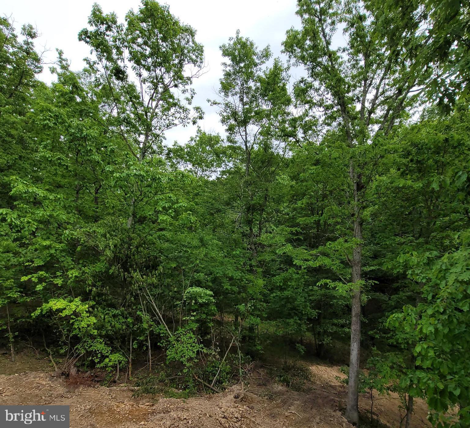 FAIRVIEW OAKS - Residential