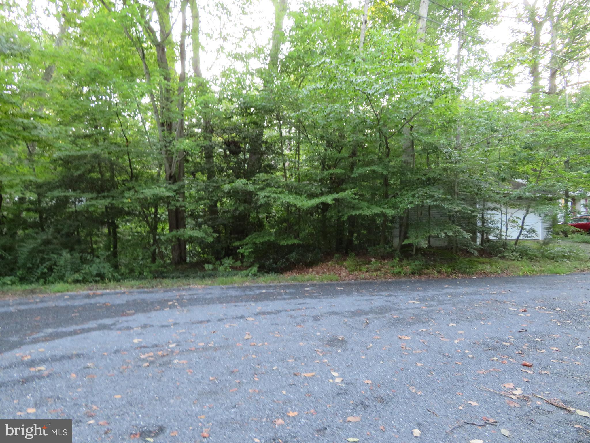 CHESAPEAKE RANCH ESTATES - Land