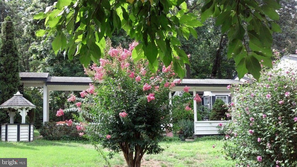 MILL BRANCH - Residential