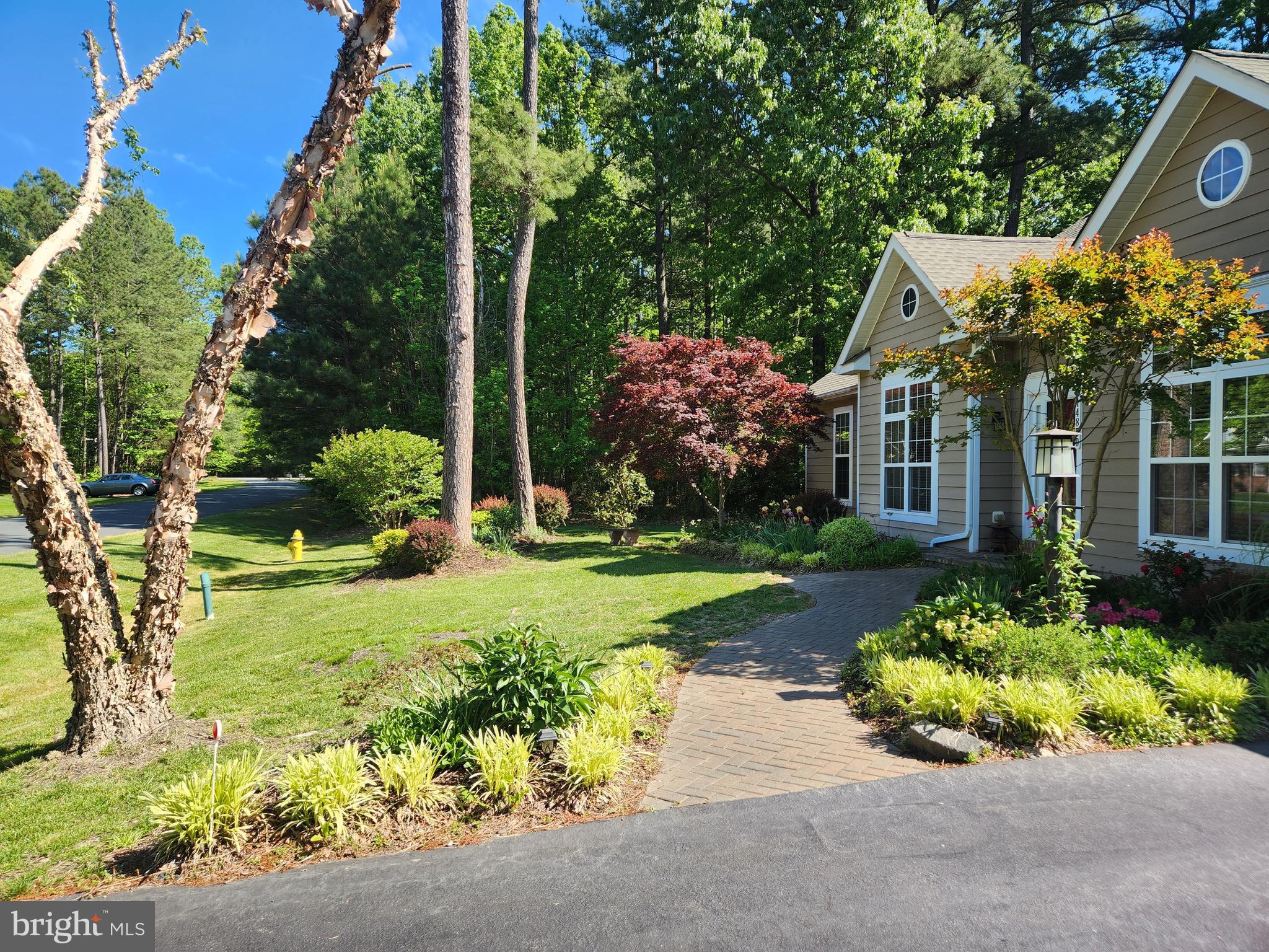 SWAN POINT - Residential