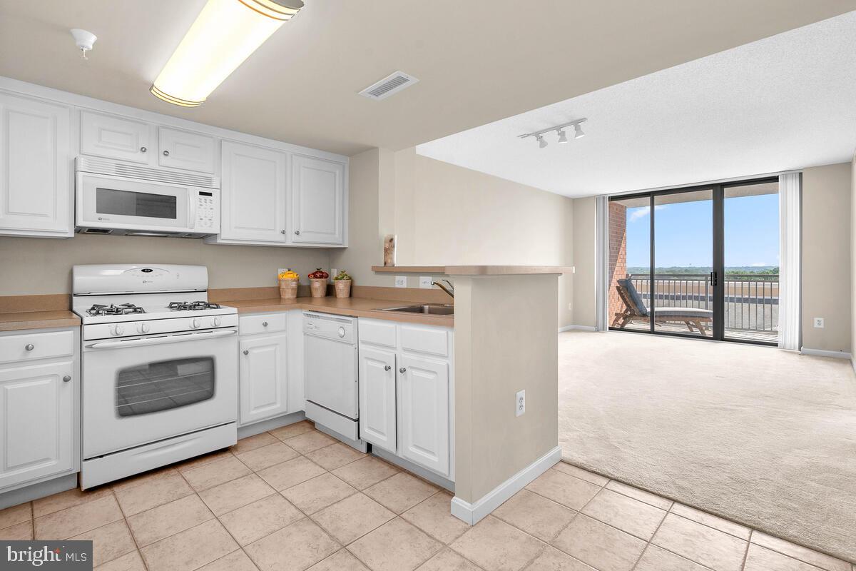 GALLERY AT WHITE FLINT - Residential