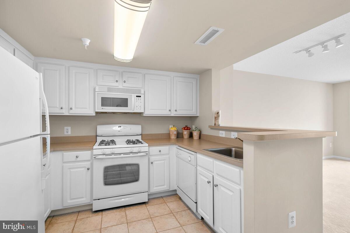 GALLERY AT WHITE FLINT - Residential