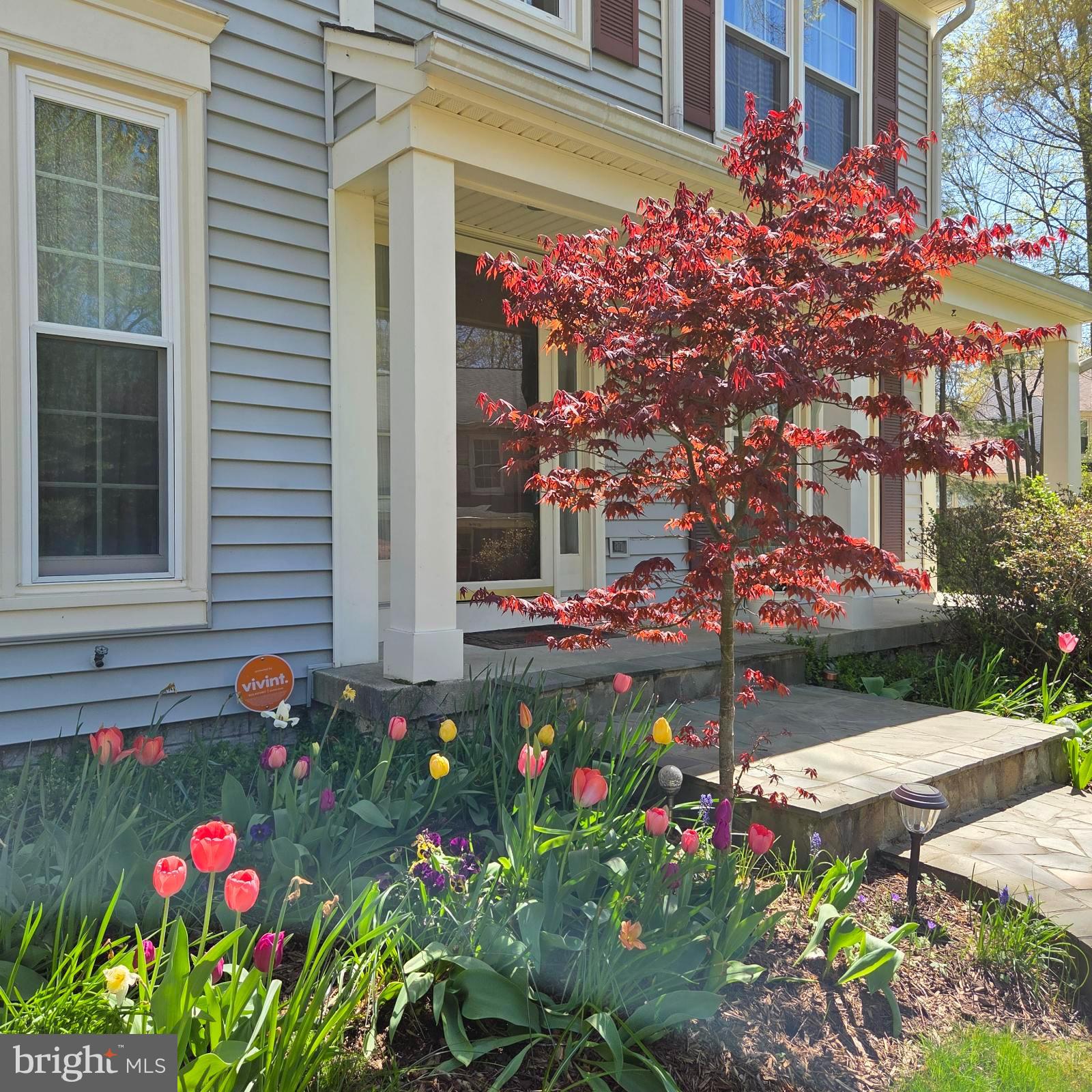 TRIPLE RIDGE - Residential