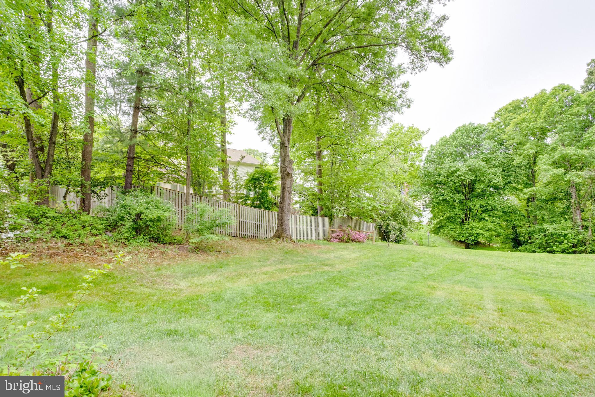 TRIPLE RIDGE - Residential