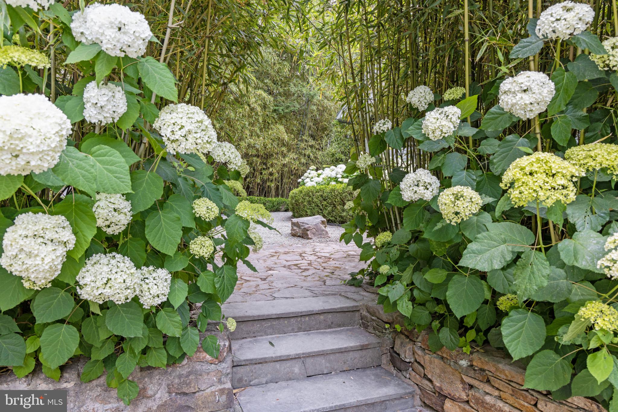 EPPING FOREST - Residential