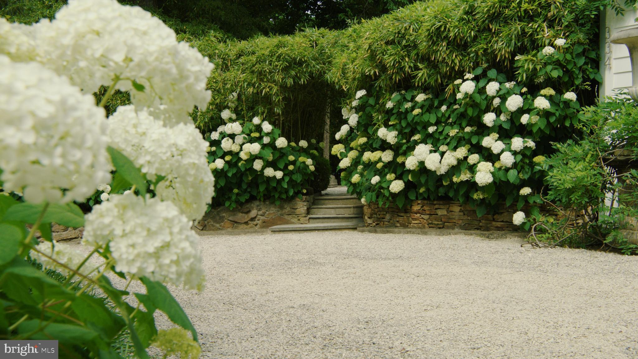 EPPING FOREST - Residential