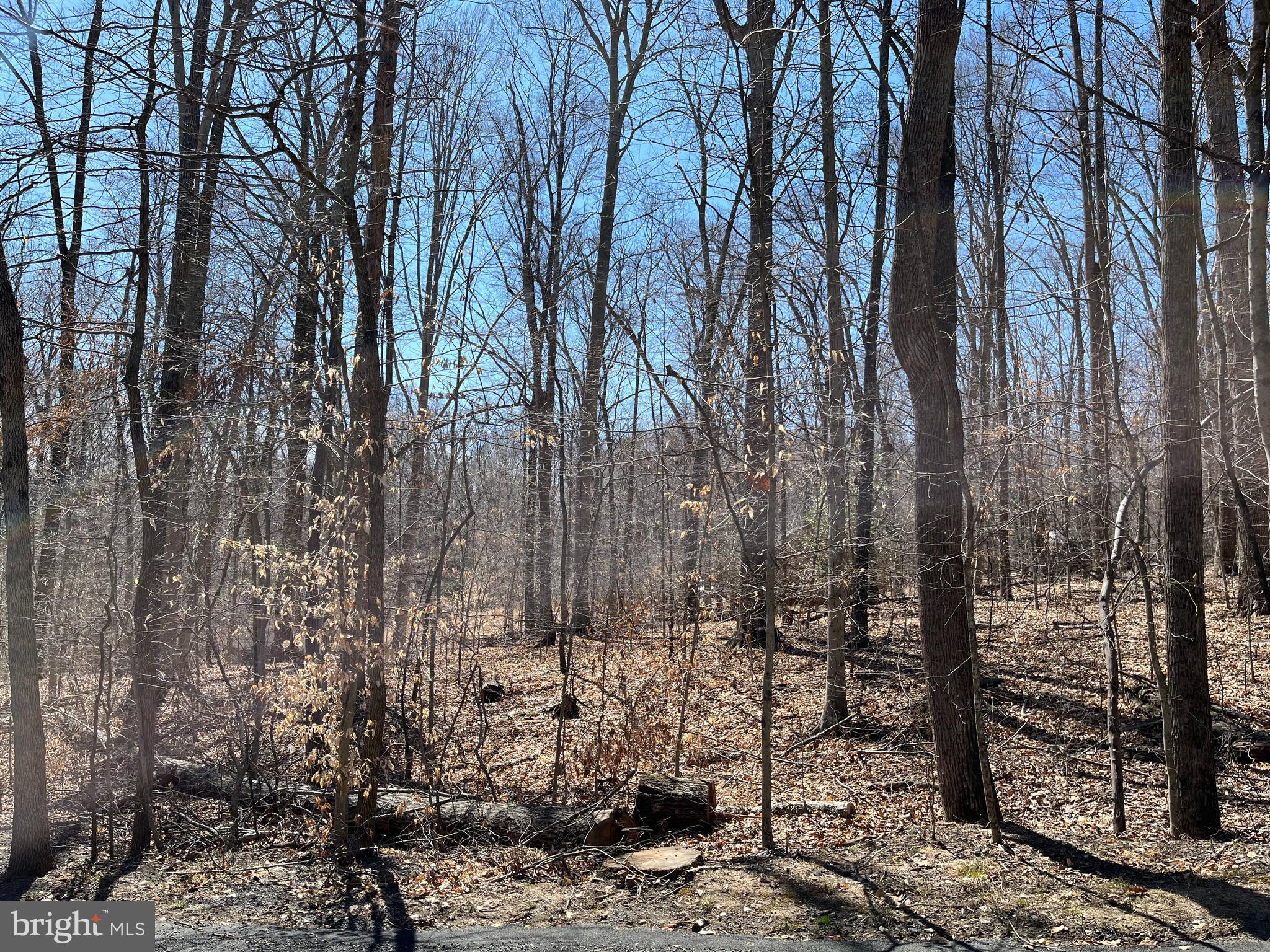 11746 MARGARITE STREET