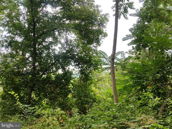 NONE AVAILABLE - Land