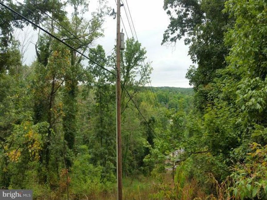 INVESTOR'S DELIGHT 20.67 acres within the town limits. Imagine the possibilities with water and sewer available at  property line. Property is currently subdivided into eight lots several with beautiful views, paved roads lead right  to the parcel, utilities in the area.  A real estate investment.