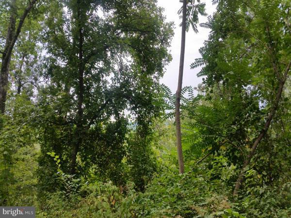 NONE AVAILABLE - Land