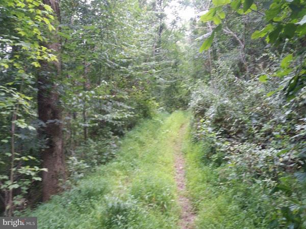 NONE AVAILABLE - Land