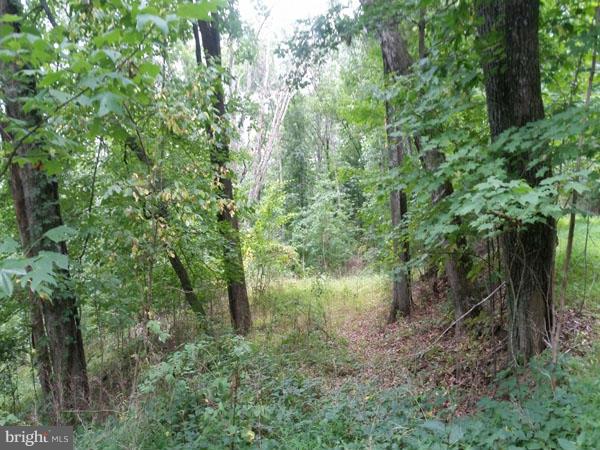 NONE AVAILABLE - Land