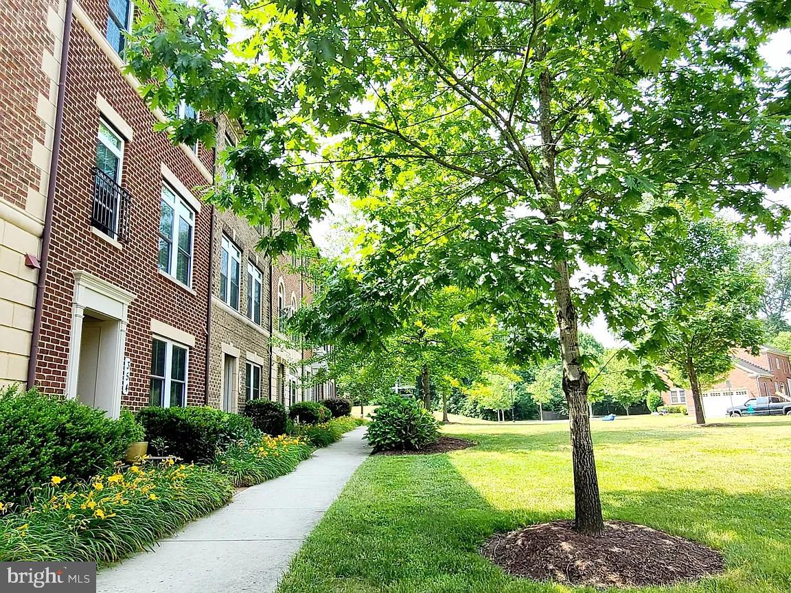 342 WHITE ASH PLACE