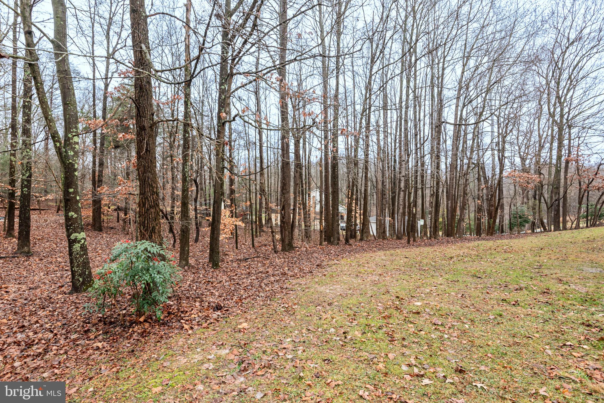 WINDY OAKS - Residential