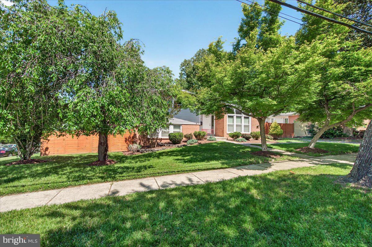 KEMP MILL ESTATES - Residential