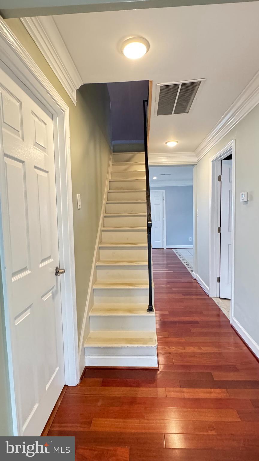 ST. MARYS BEACH - Residential