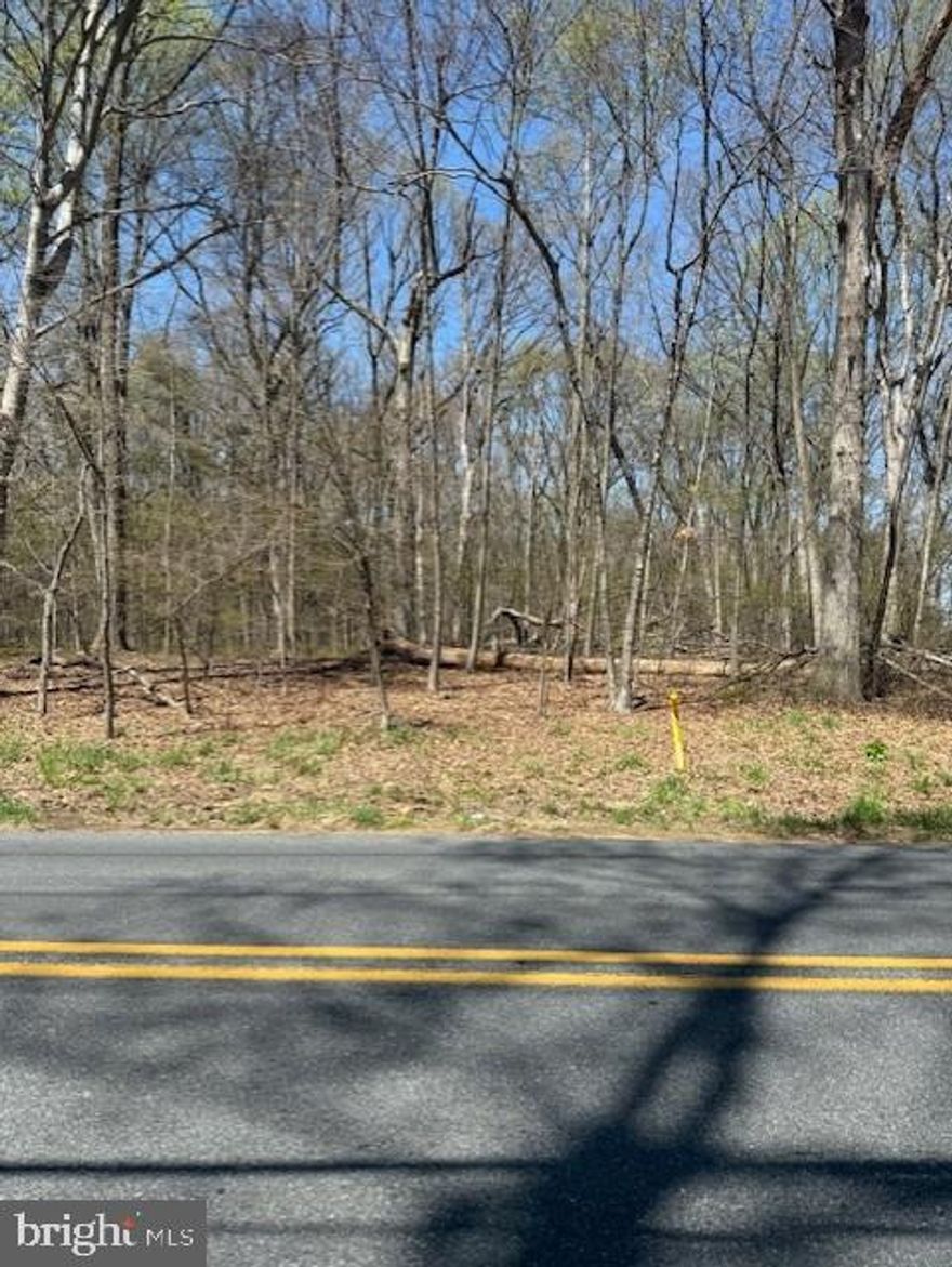 Exceptional opportunity to build your dream home on this beautiful 4.55-acre level, wooded homesite. Privately situated and surrounded by mature trees, this property offers a serene and picturesque setting with ample space for a custom residence. The lot will require well and septic, providing the flexibility to design and build to your specifications. A rare offering combining privacy, natural beauty, and endless potential.