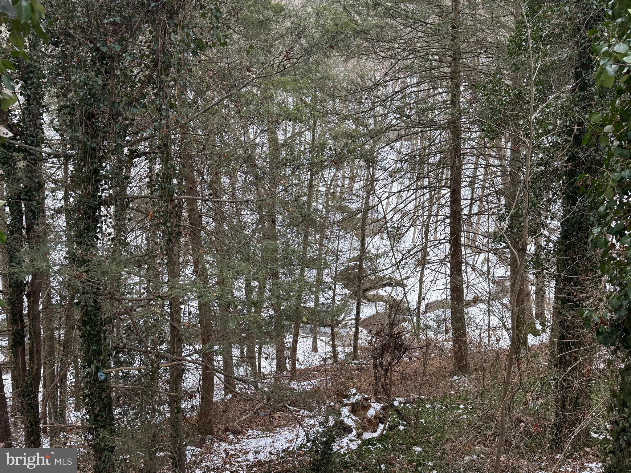 SUSQUEHANNA TRAILS - Residential