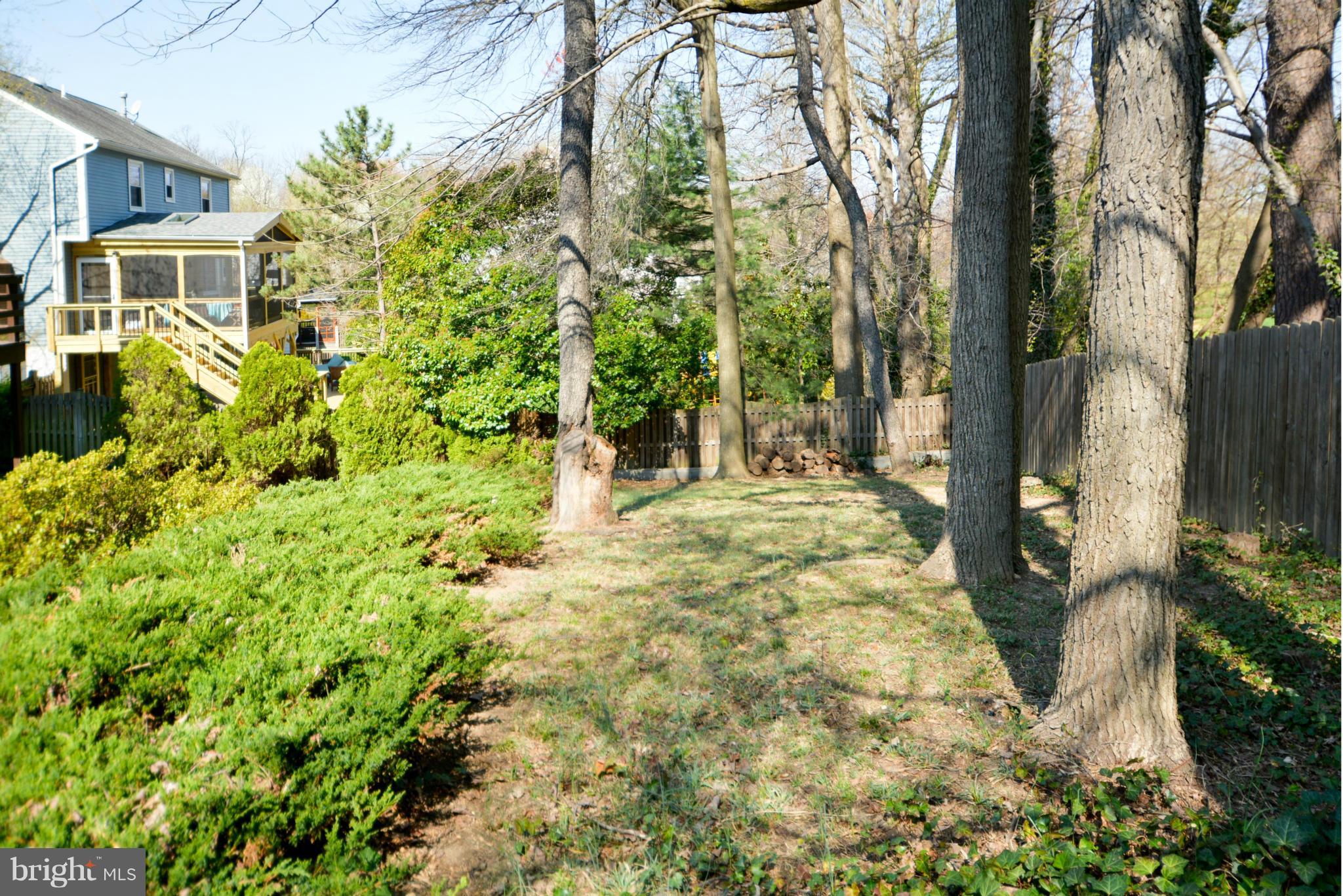 HUNTINGTON FOREST - Residential