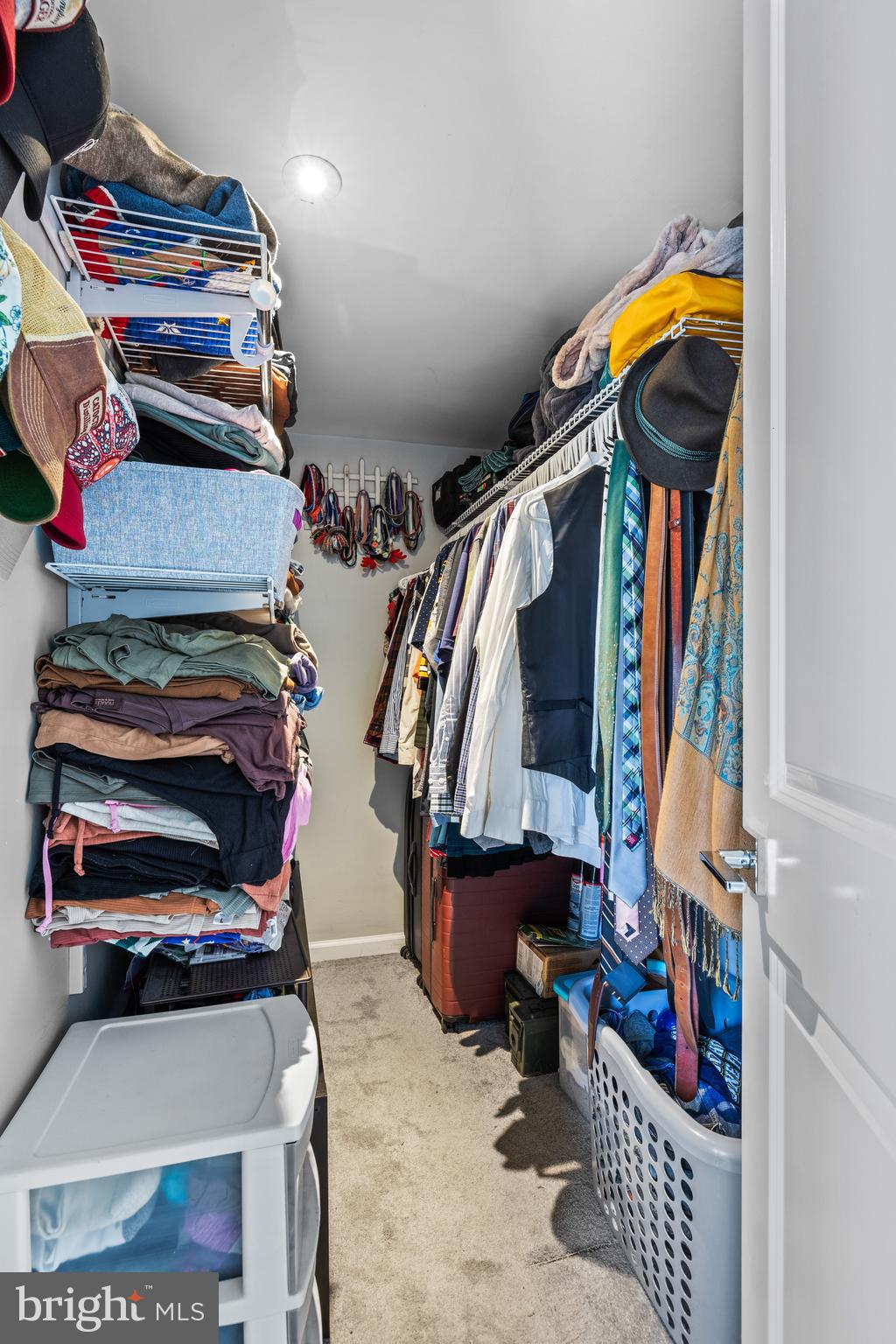 STEVENS FOREST - Residential