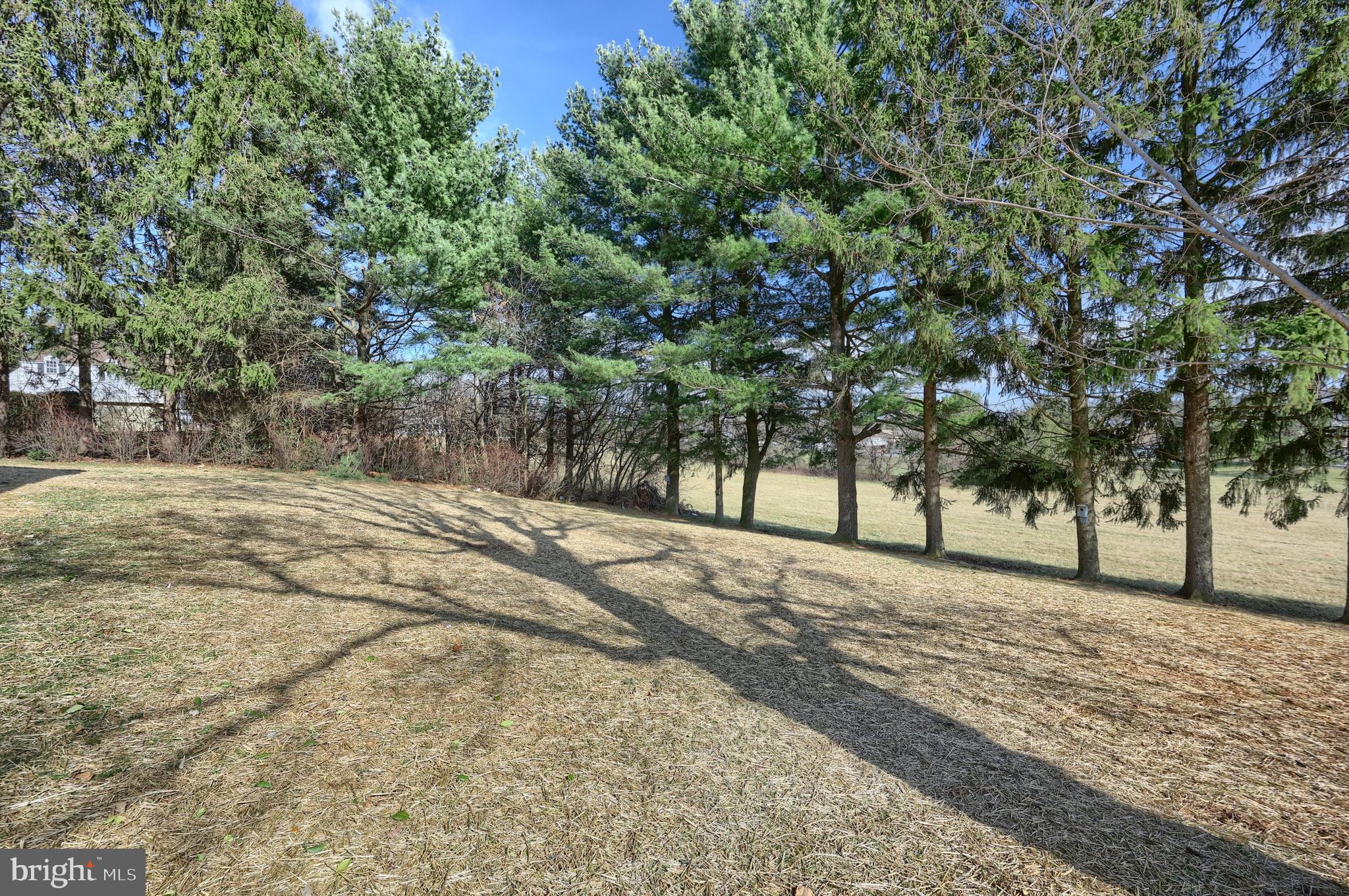 SPRINGVALE - Residential