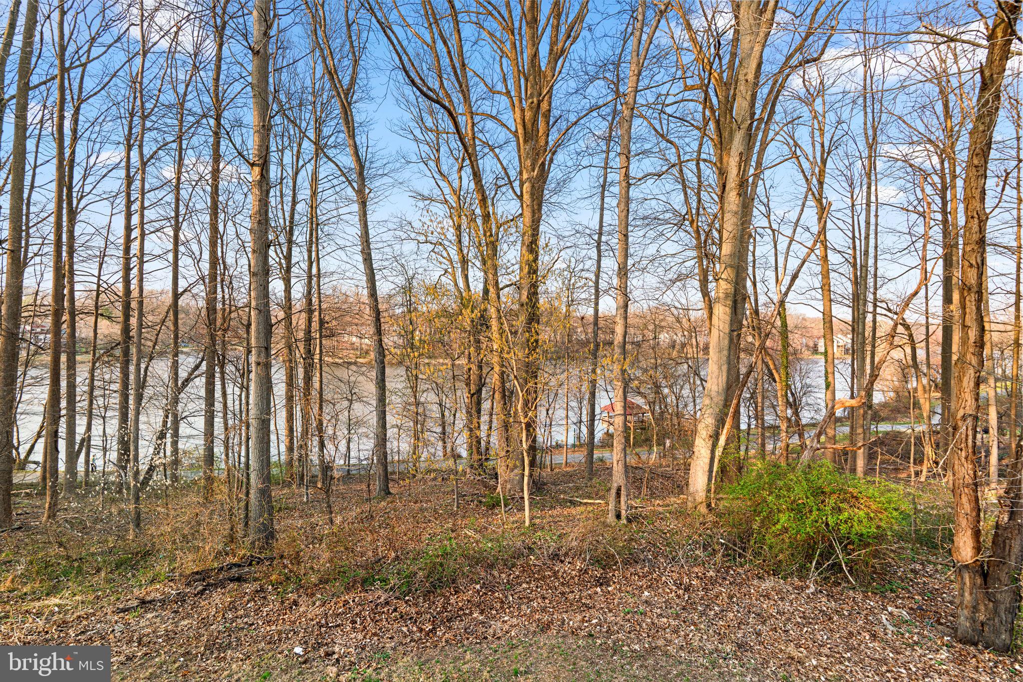 VILLAGE OF OWEN BROWN - Residential