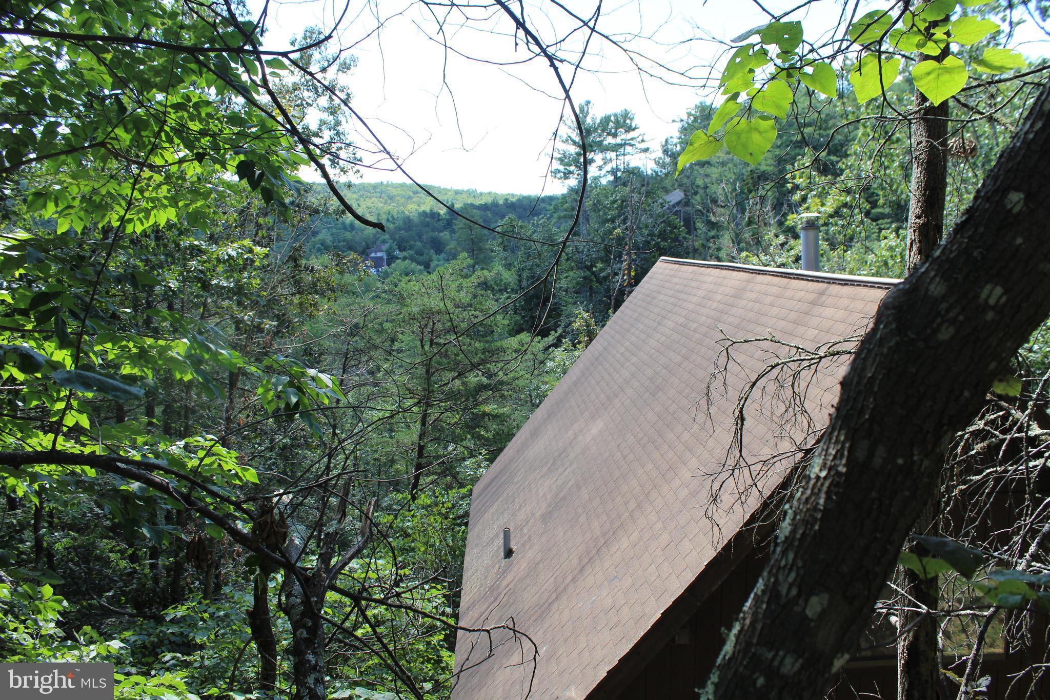 BRYCE MOUNTAIN RESORT - Residential