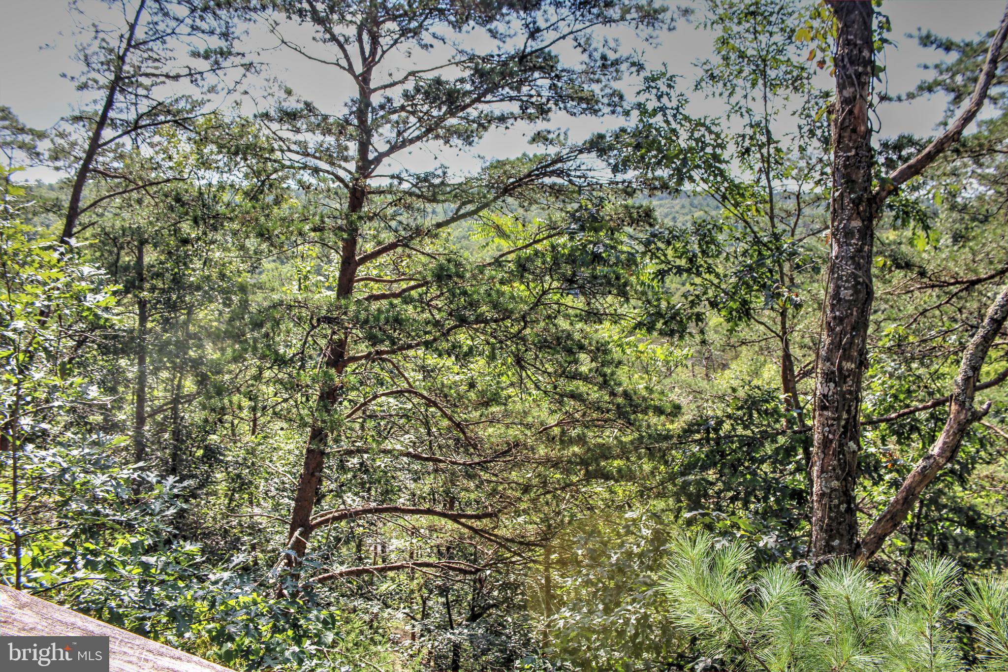 BRYCE MOUNTAIN RESORT - Residential