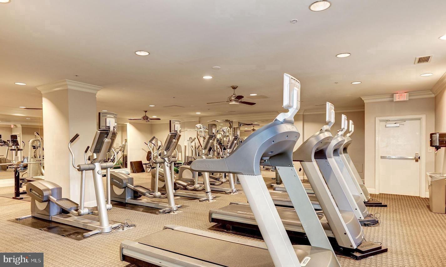 HALSTEAD AT THE METRO - Residential Lease