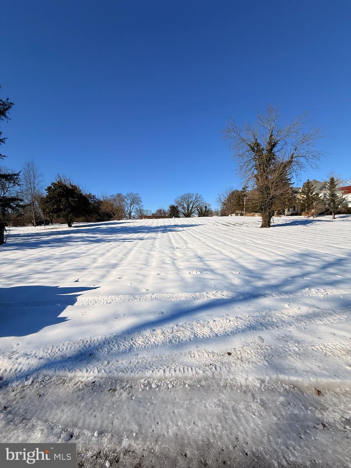 307 BUENA VISTA AVENUE