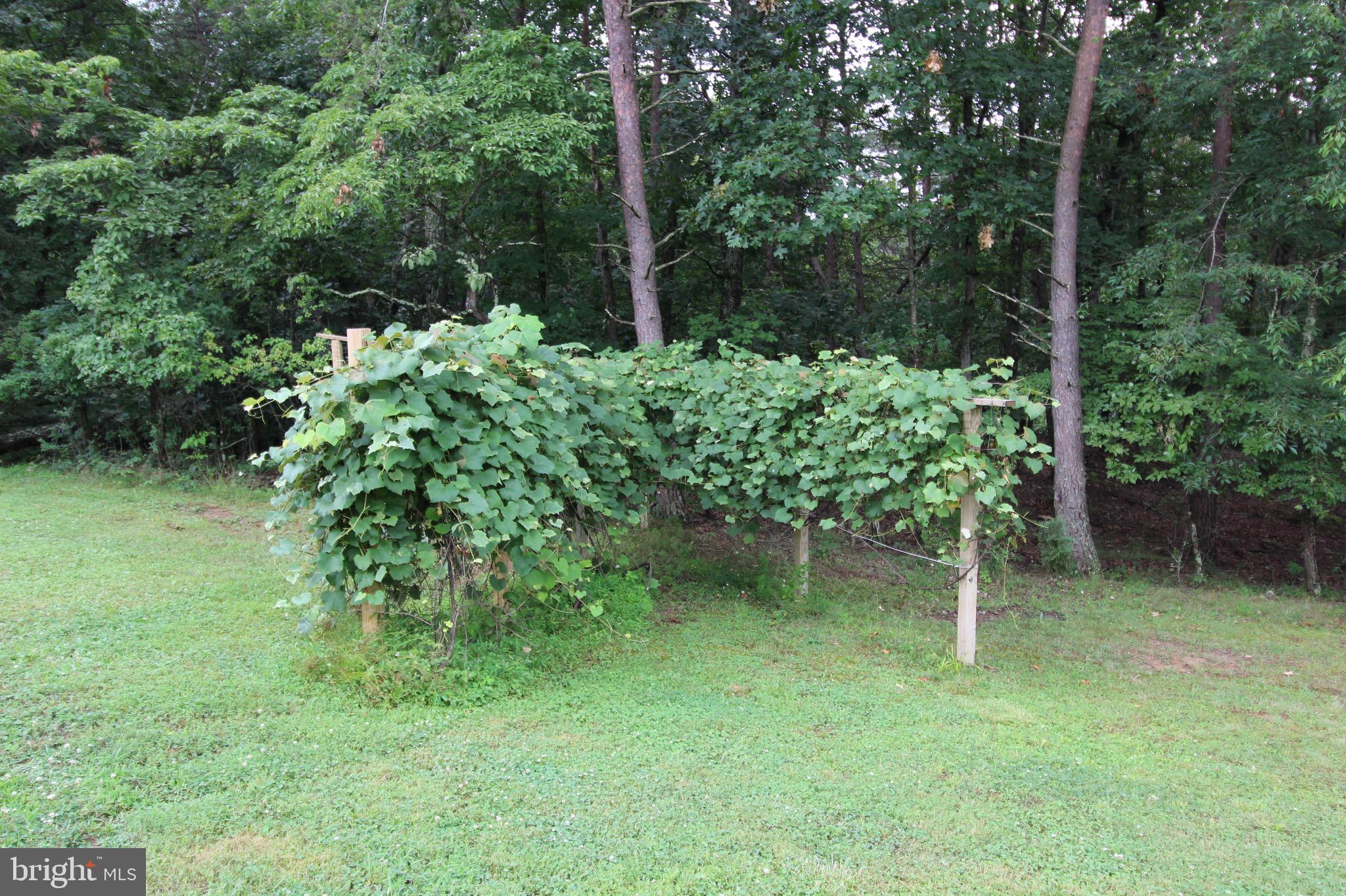 OLD FIELDS OWNERS ASSOCIATION - Residential