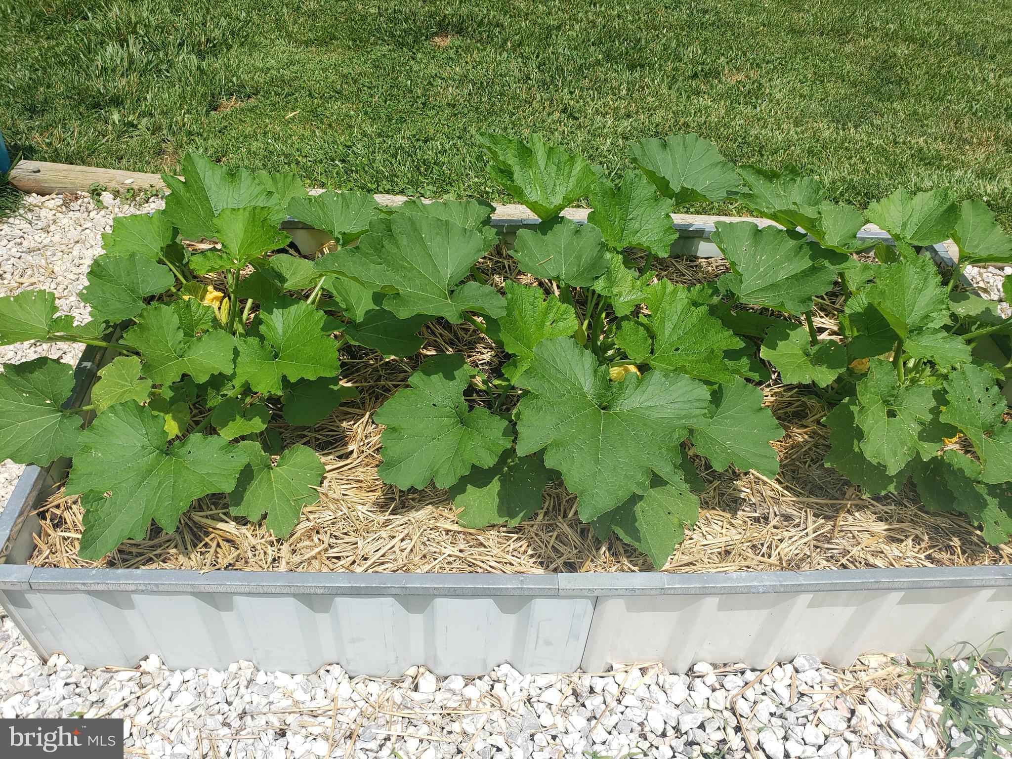 SHAWNEELAND - Residential