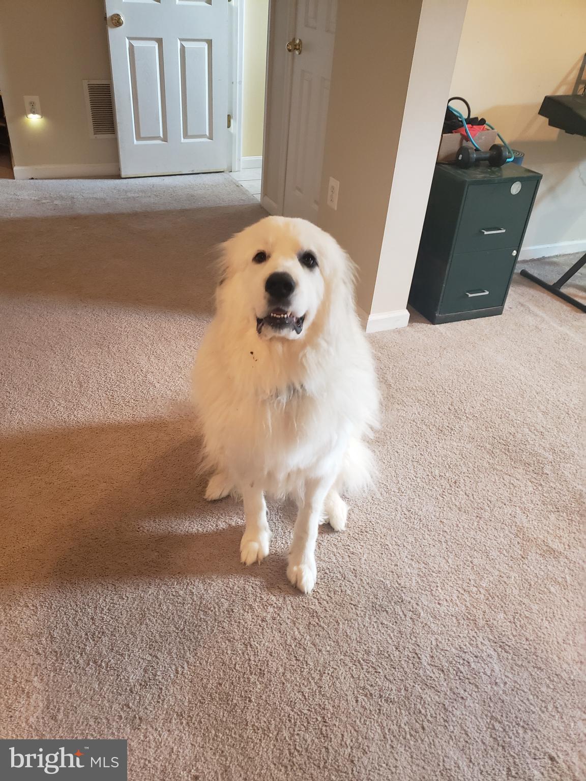 SHAWNEELAND - Residential