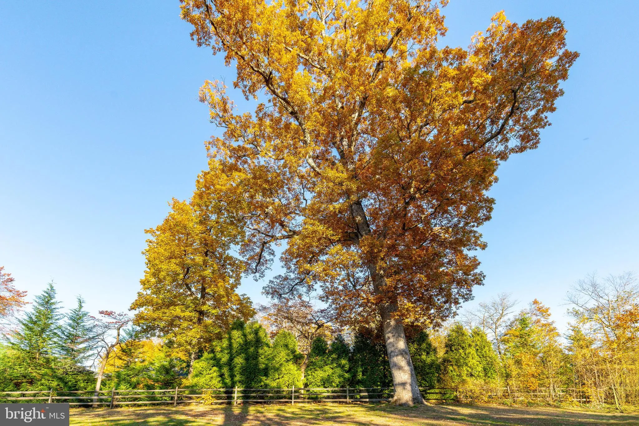 Villanova, Pennsylvania 19085, United States, 4 Bedrooms Bedrooms, ,4 BathroomsBathrooms,Residential,Coming Soon,240213