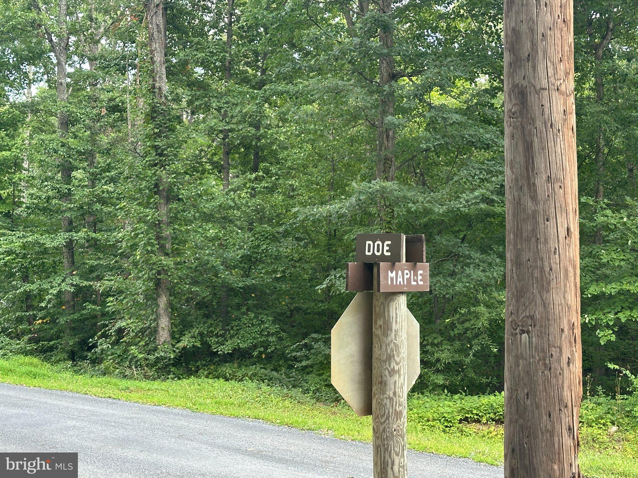 Lot 19 CORNER OF DOE & MAPLE