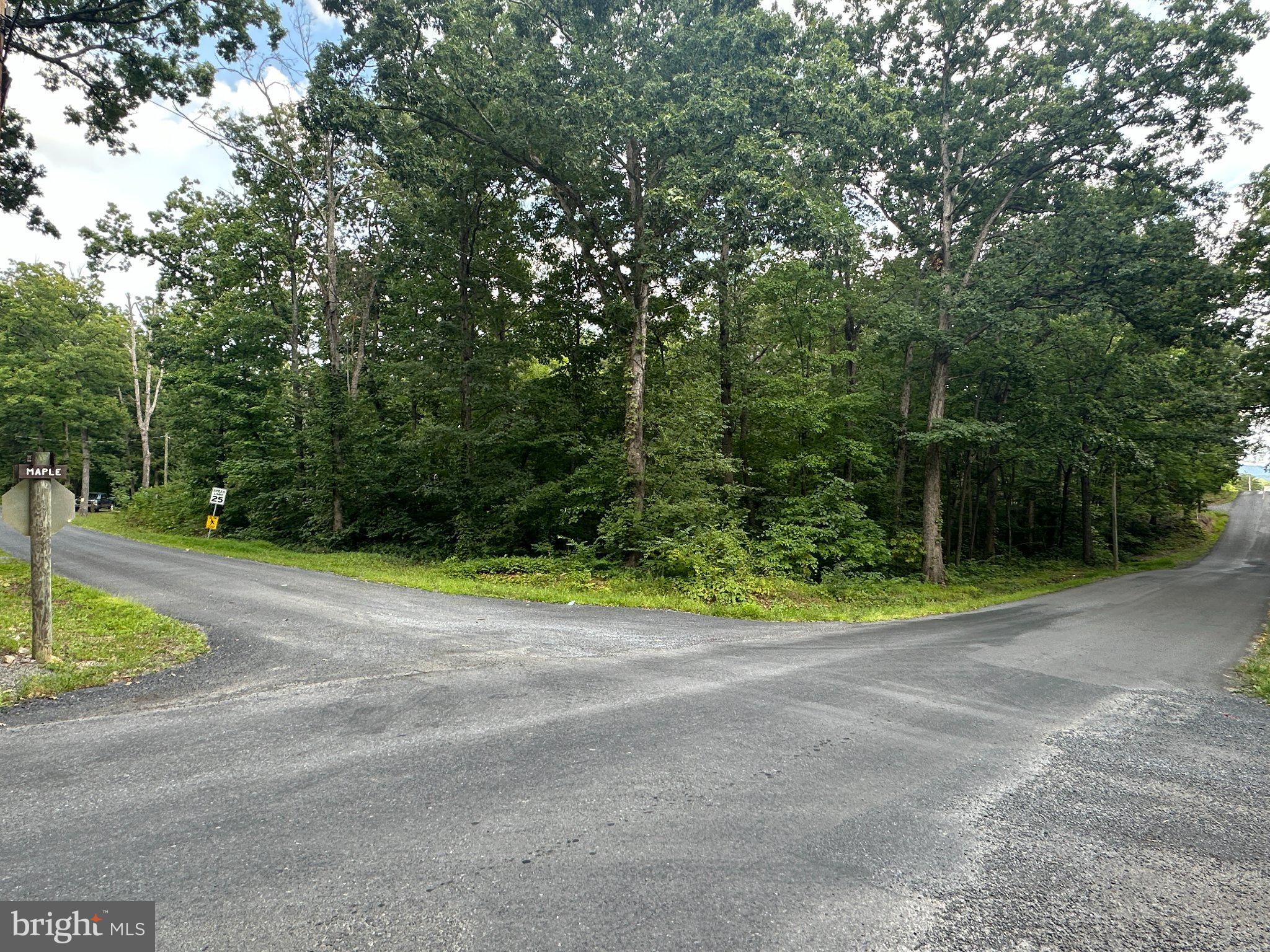 Lot 19 CORNER OF DOE & MAPLE