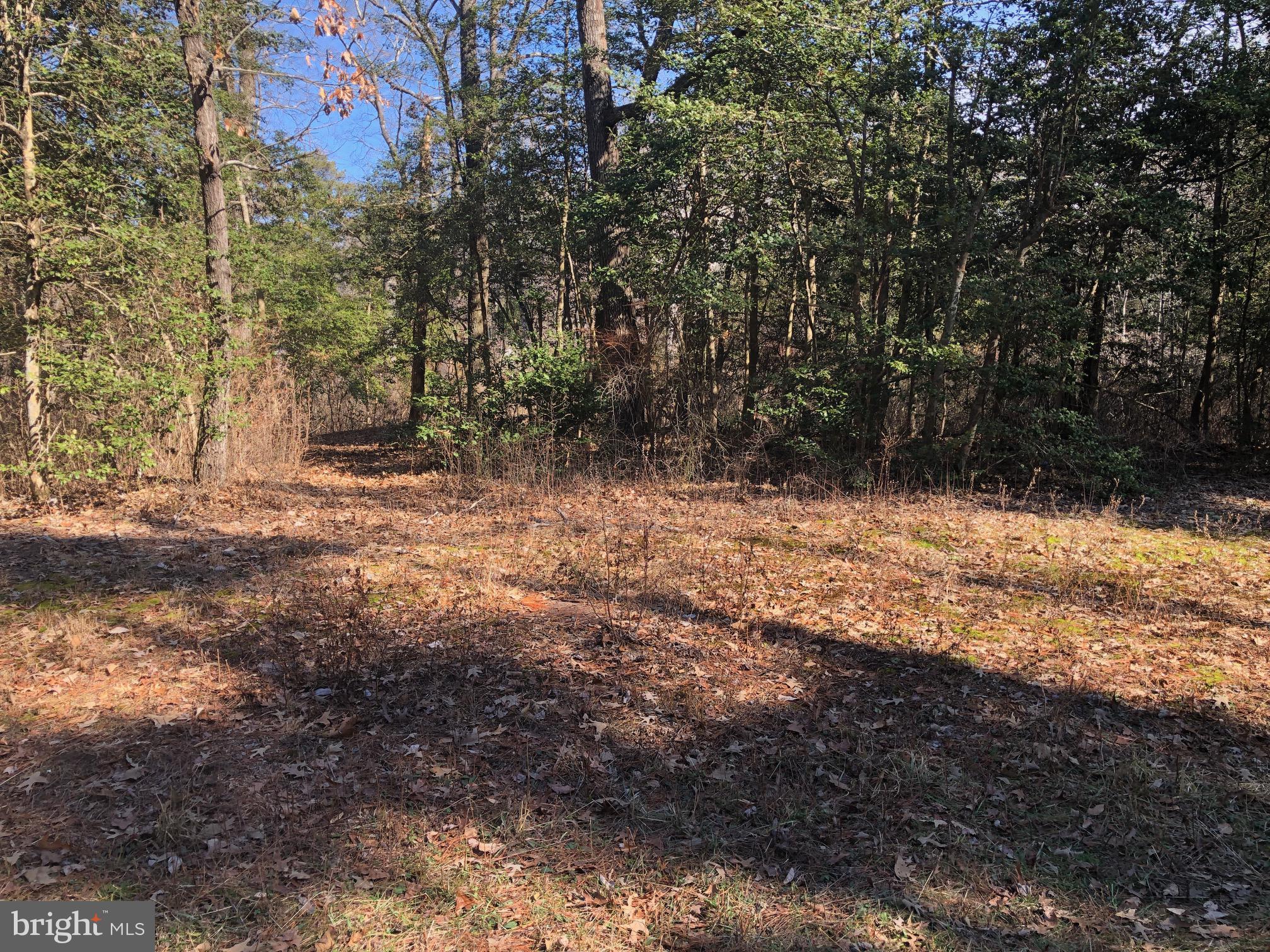 PLACID BAY ESTATES - Land