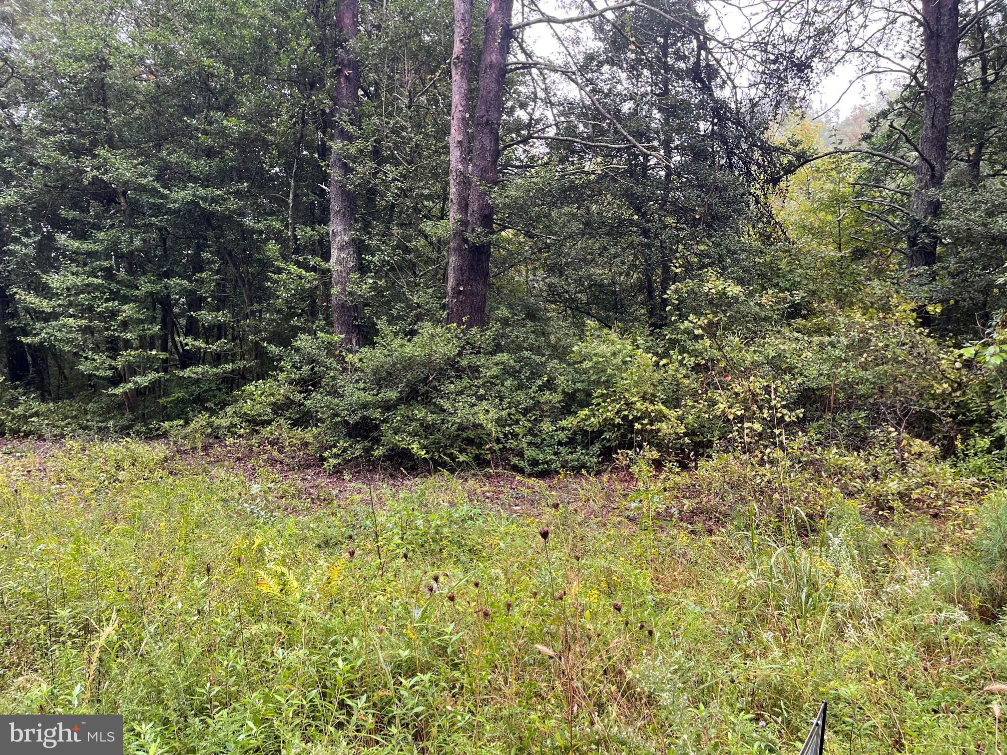 PLACID BAY ESTATES - Land