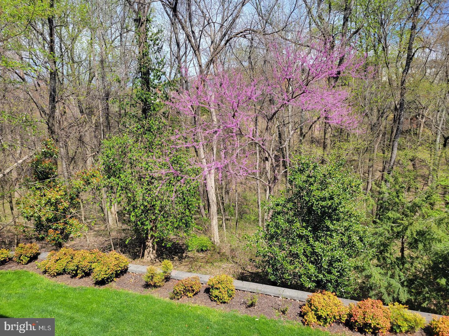 VILLAGES OF URBANA - Residential