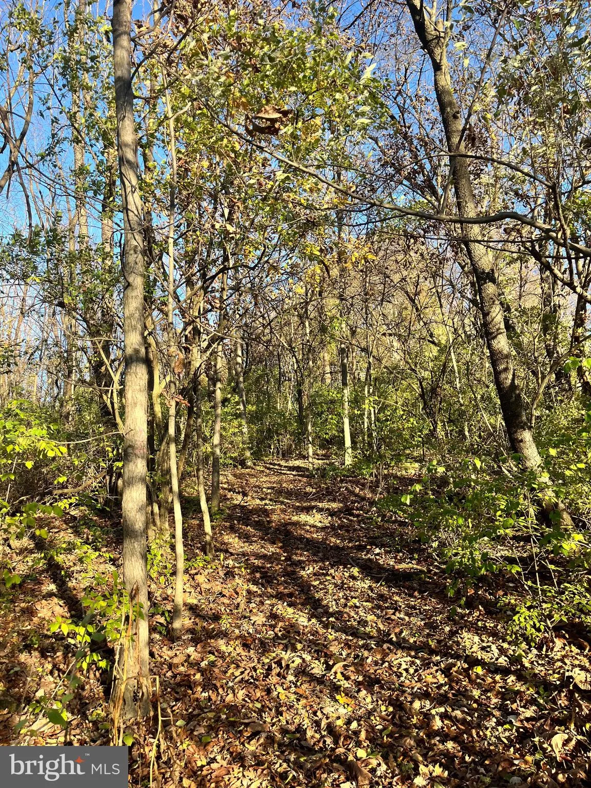 Fredericksburg, Pennsylvania 17026, United States, ,Land,Active,239040