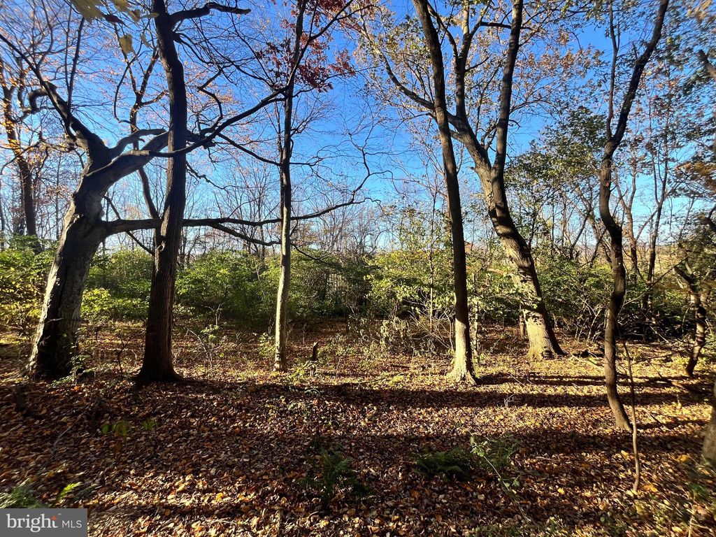 Photo of Lot #1 Johns Way Drive, FREDERICKSBURG, PA 17026 (MLS # PALN2023566)