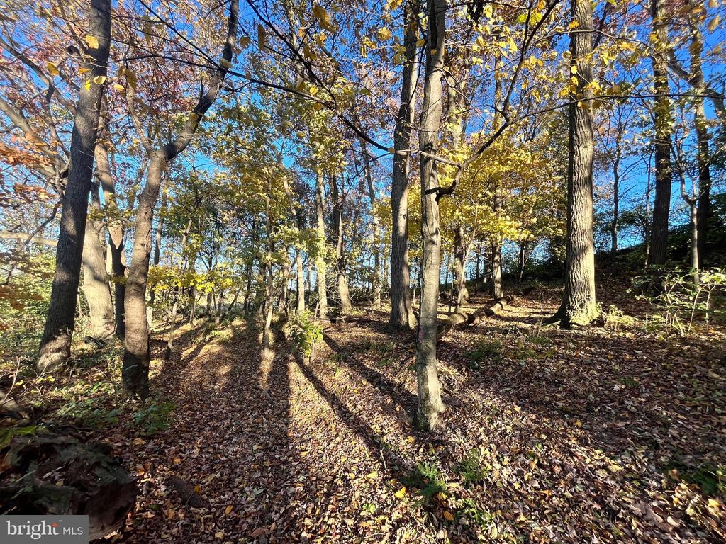 Photo of Lot #1 Johns Way Drive, FREDERICKSBURG, PA 17026 (MLS # PALN2023566)
