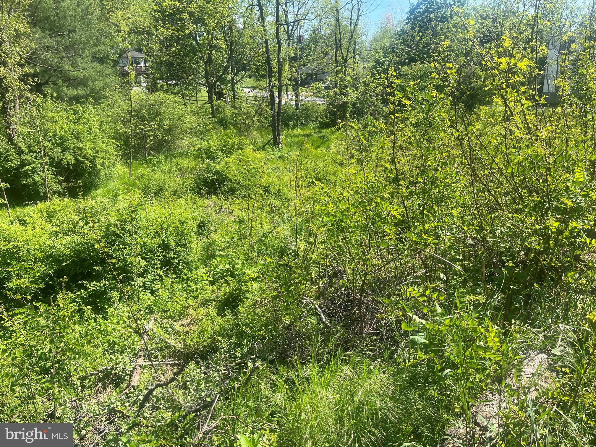 ICE HOUSE ESTATES - Residential