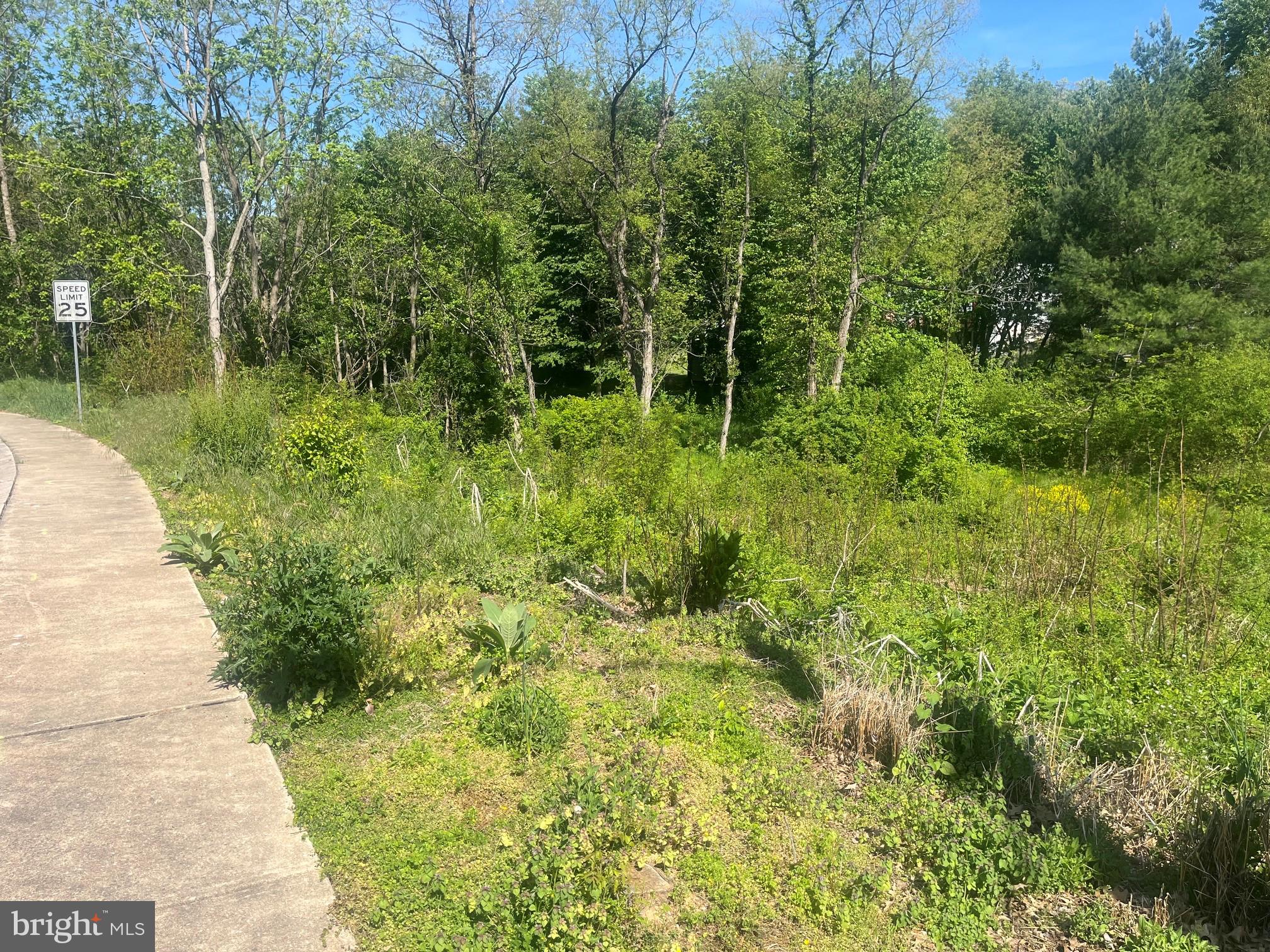 ICE HOUSE ESTATES - Residential